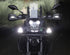 FARO DENALI D3 (PZA)